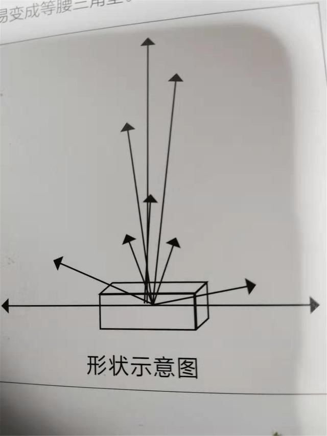 第四节倒t型插花花艺教学,单面观赏,注意轮廓造型示意