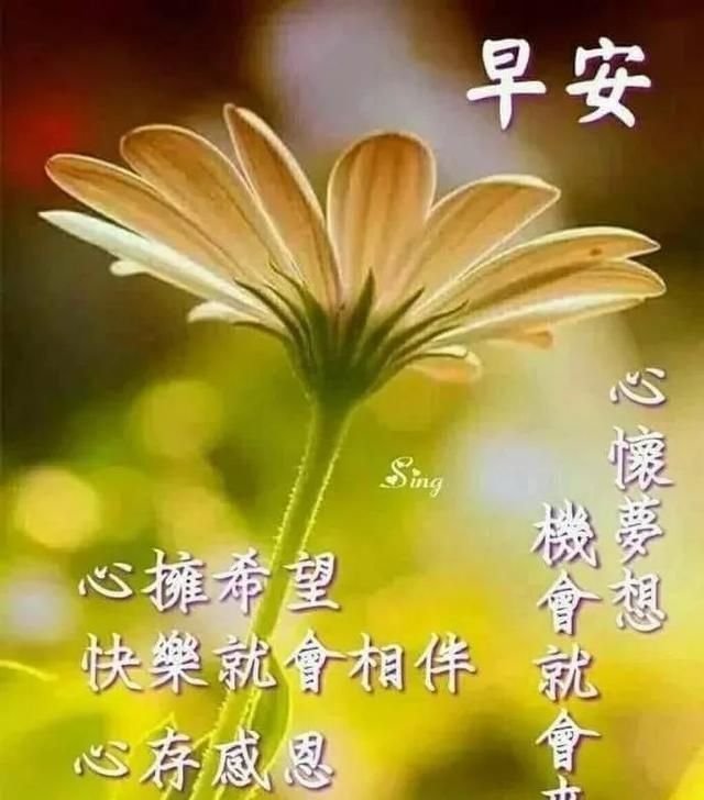 早上好最新问候小清新图片,祝福你在新的一天里开心快乐