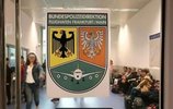MediaWiki