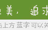 MediaWiki