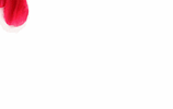 MediaWiki