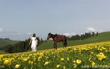 MediaWiki