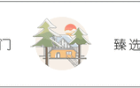 MediaWiki