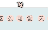 MediaWiki