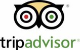 MediaWiki