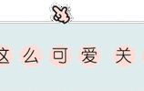 MediaWiki