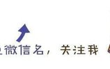 MediaWiki