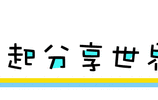 MediaWiki