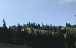 MediaWiki