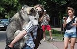 MediaWiki