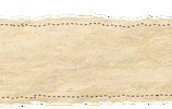 MediaWiki