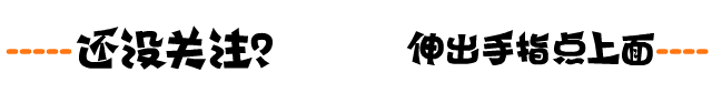 MediaWiki