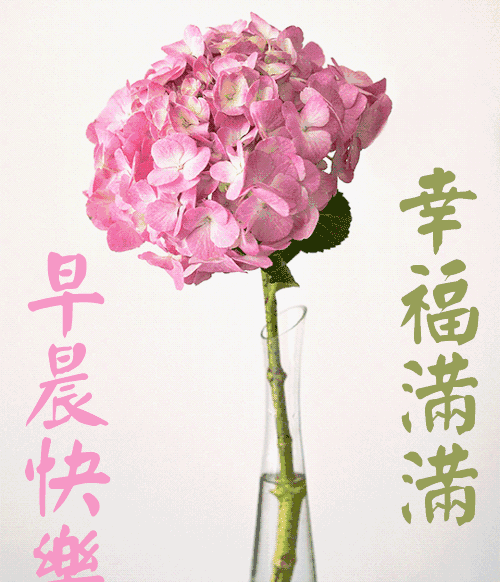 n 4,清晨的阳光划过金色麦田,稻草人懒洋洋的睁开了朦胧睡眼,最美好