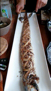 搞笑gif:大师界别的带鱼吃法,这样就不会扎嘴了吧