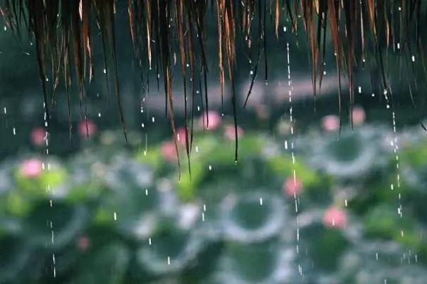 五首经典听雨诗词,带你倚楼听风雨,淡看江湖路