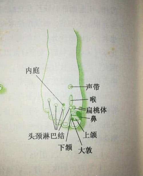 慢性咽炎,穴位按摩,简便实用又方便