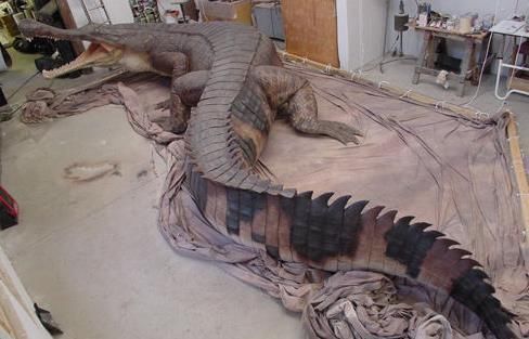 帝王鳄,地球史上曾经出现过最巨大的鳄类动物