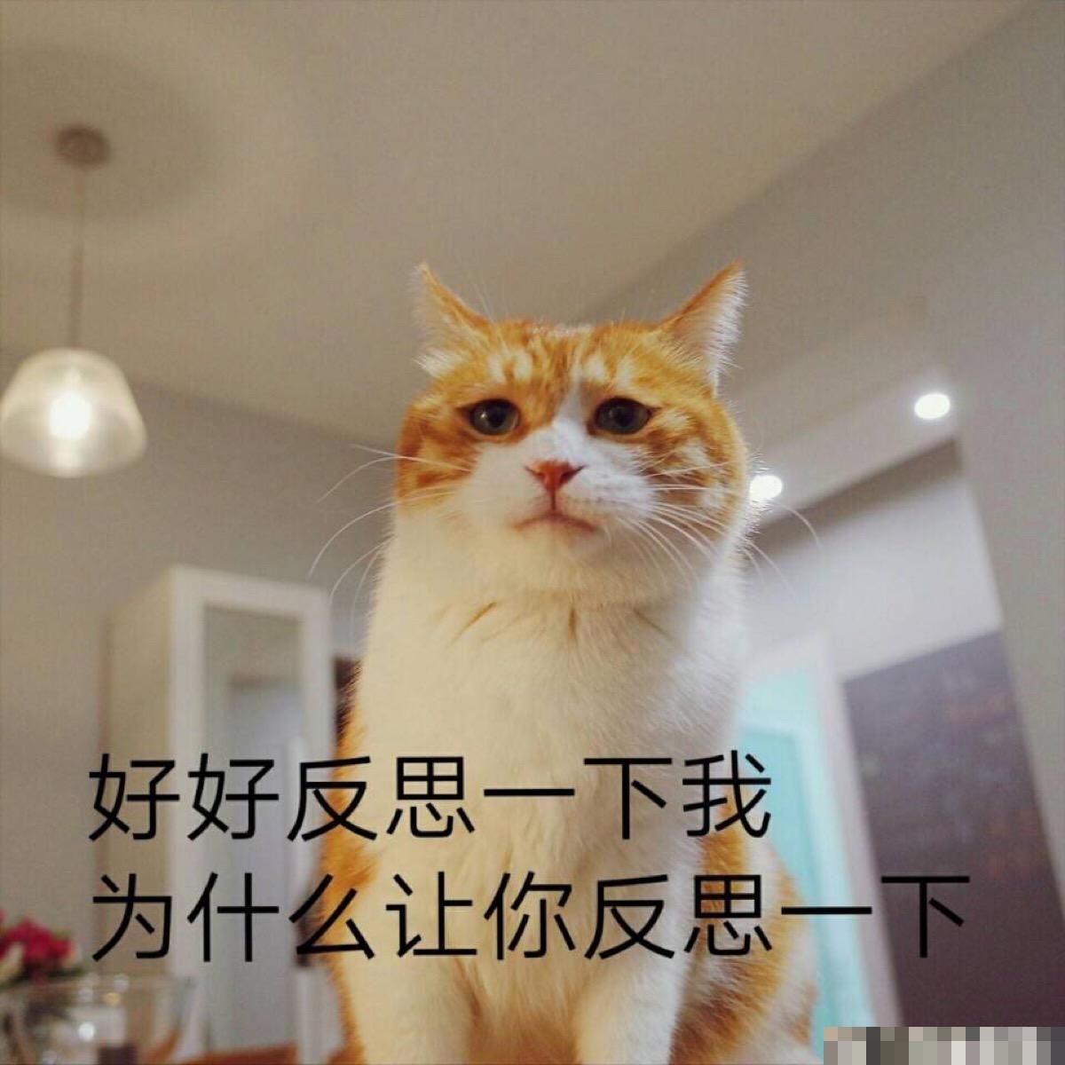 给上大学的女儿请保姆？这则招聘“出圈”了