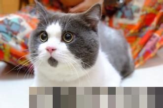 给上大学的女儿请保姆？这则招聘“出圈”了