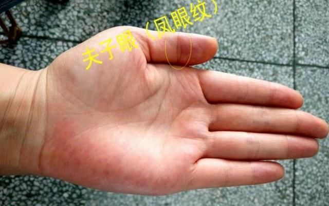 凤眼纹又名夫子眼也称为"天眼纹"手相中出现这"3个"