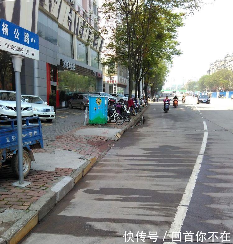赣州鲜为人知的一段悲壮护城史记v护城英雄杨变异白化鳄龟图片
