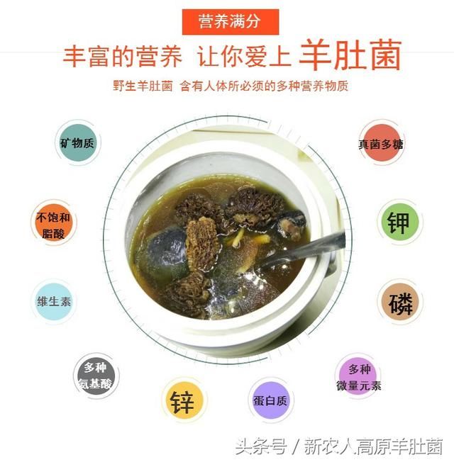 羊肚菌的功效如何?是不是价格越高,效果越好?