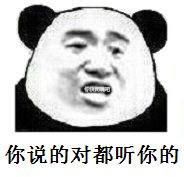 用我们的话来说系列表情包