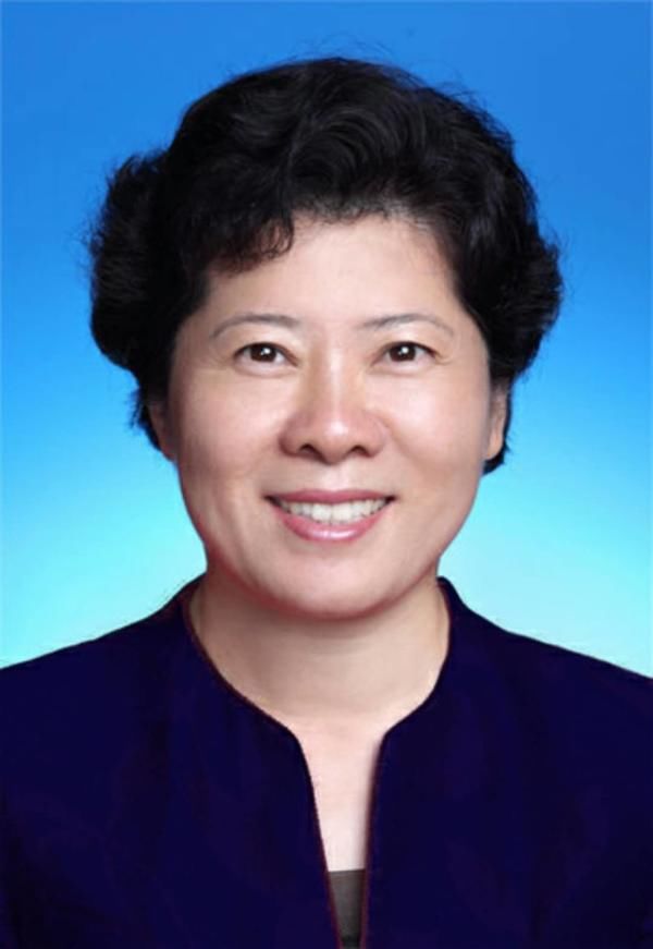 2019河北高级经济师_河北省高级经济师 朴拙教育