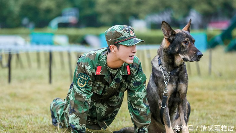 奇兵神犬收官,姜潮发文感慨,何捷和张馨予夫妇的评论亮了