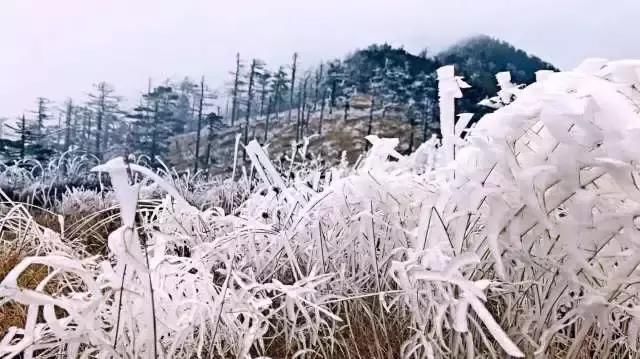 鄠邑区近几年gdp_鄠邑区(2)