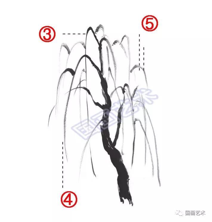 国画柳树的画法