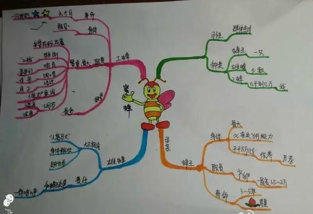 写一篇暑假的旅行计划的英语作文