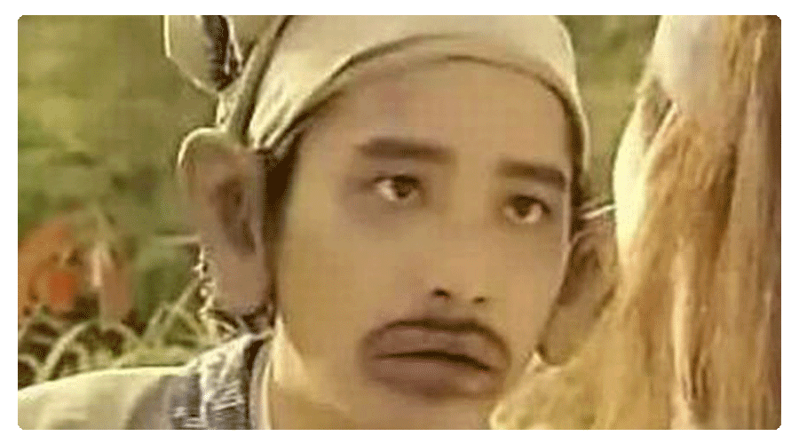 6,十七世纪一颗菠萝价值连城