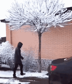 搞笑gif:一进房就往厕所跑,拉个没完没了!