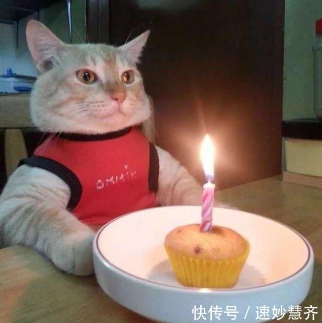 自己生日怎么发朋友圈