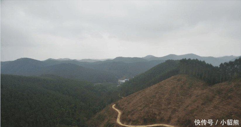 位于南宁市郊北部邕武公路10公里处,有一个老虎岭水库,这里是南宁人