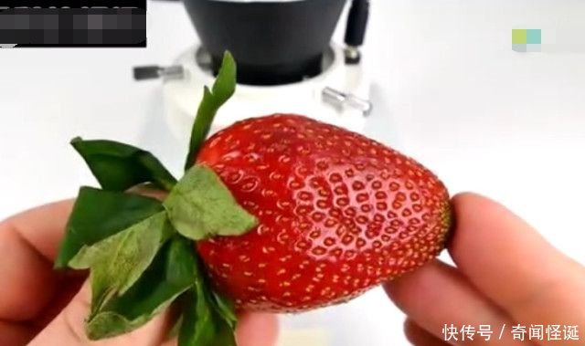 男子将草莓在显微镜下放大一百倍,接下来的一幕让所有人傻眼了