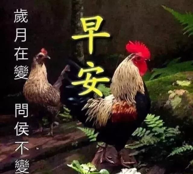 安康图片带字图片大全