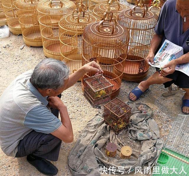 昆虫,蝈蝈在中国有悠久历史,而且蝈蝈的别名很多,如哥哥,蛞蛞,蚰子等