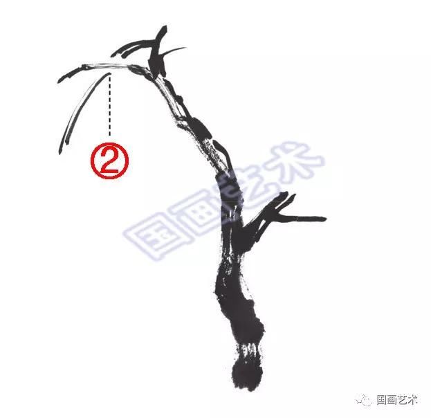 国画柳树的画法
