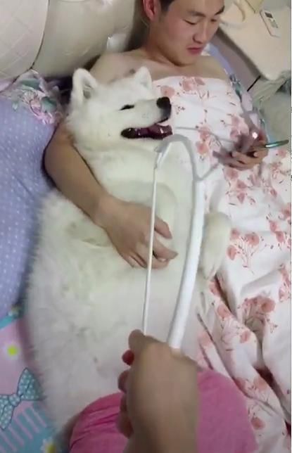 高人解梦，梦见被介绍男朋友的深层含义与心理解析