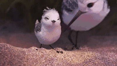 这一次我给大家推荐6部皮克斯的经典短篇动画.