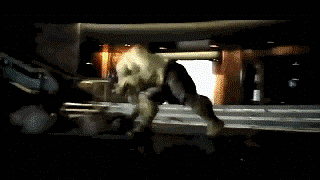 娱乐 正文  时间过的好快,当影片中绿巨人浩克在竞技场上摔打托尔的