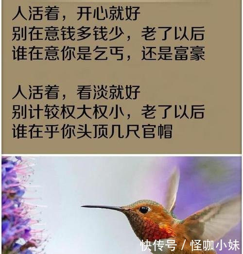人活着,开心就好,看淡就好