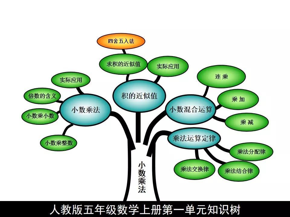 五年级上科学思维导图第3单元_作业帮       : 其实在我们