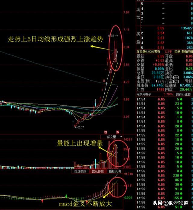 【600651 飞乐音响】