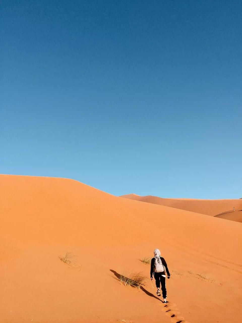 男生旅行背影图片