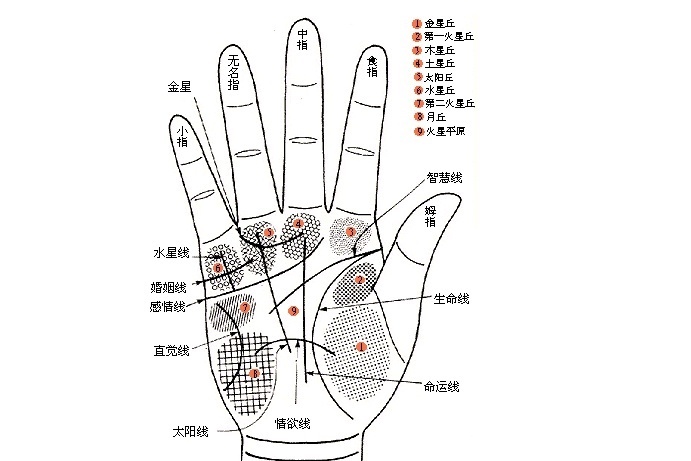 首页 生活  很多人的手相上都会长痣,有的是先天性的,有的是后天性的.