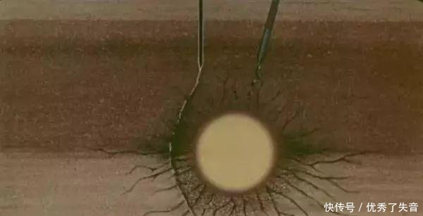 俄罗斯建议:在福岛引爆一颗氢弹消除核污染