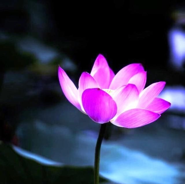 胸怀决定格局,眼界决定未来